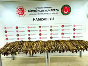 Edirne'de Kaçakçılık Baskını: 155 Samur Postu ve 239 Telefon Ele Geçti