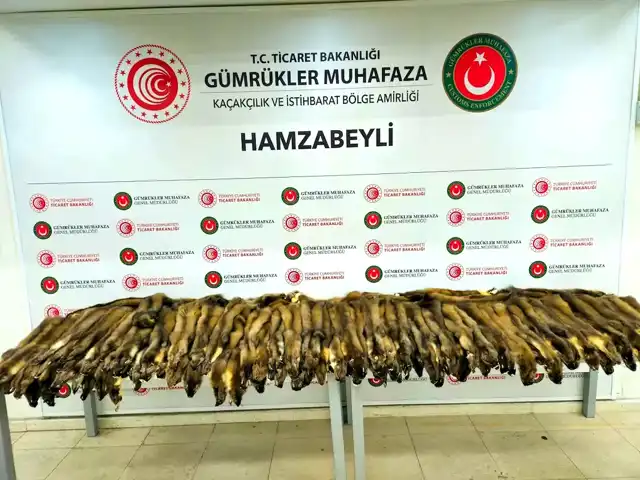 Edirne'de Kaçakçılık Baskını: 155 Samur Postu ve 239 Telefon Ele Geçti